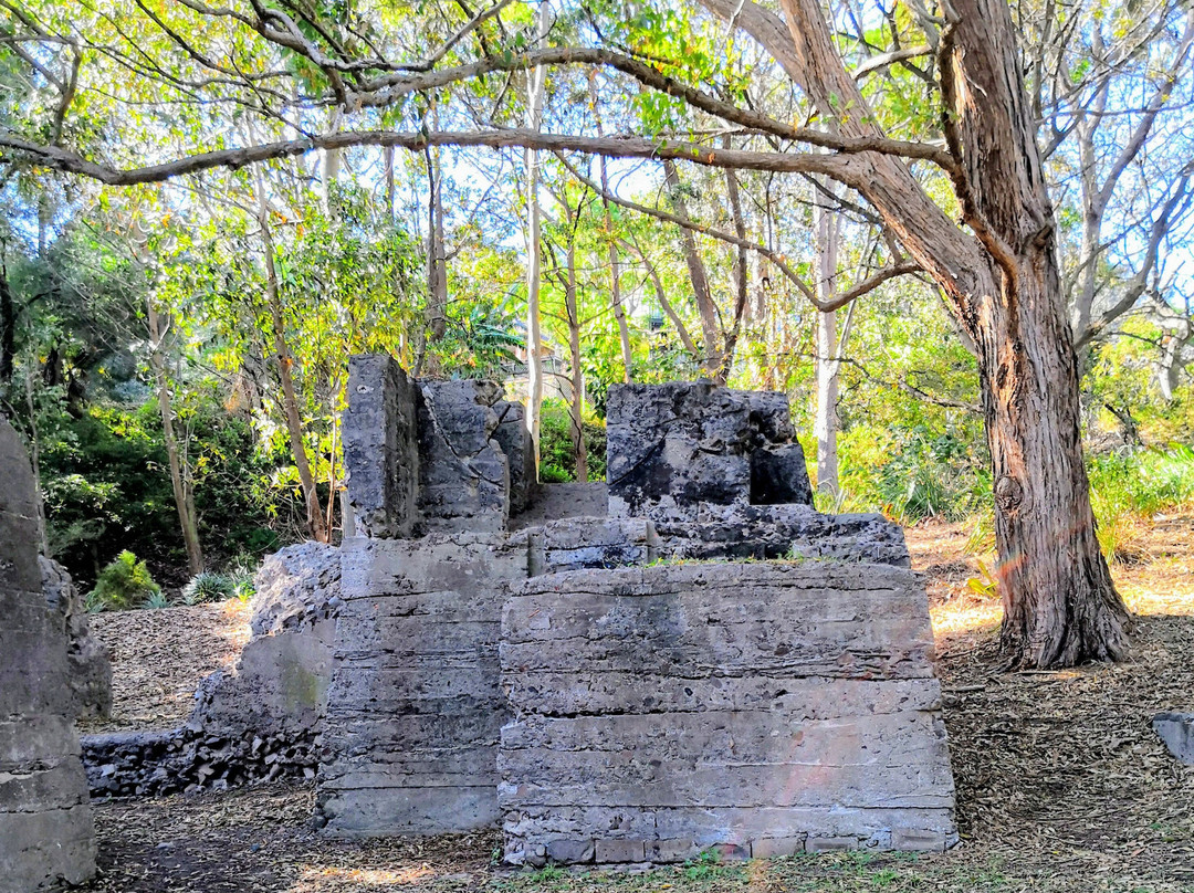 McMahons Point旅游攻略图片