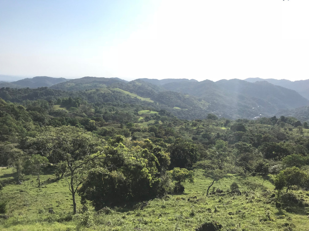 Hotel Tapasoli主图