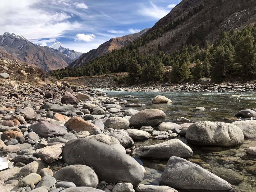 Igloo Nature Camp主图