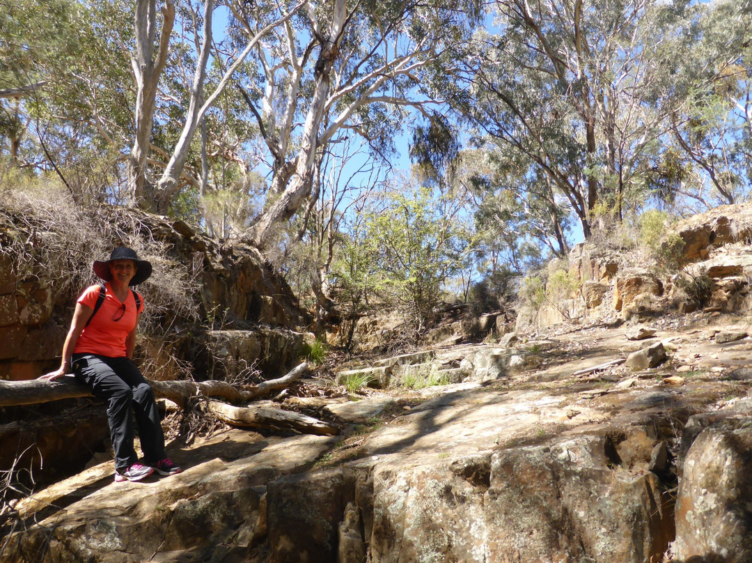 Bald Hill walking track-Hill End必去景点