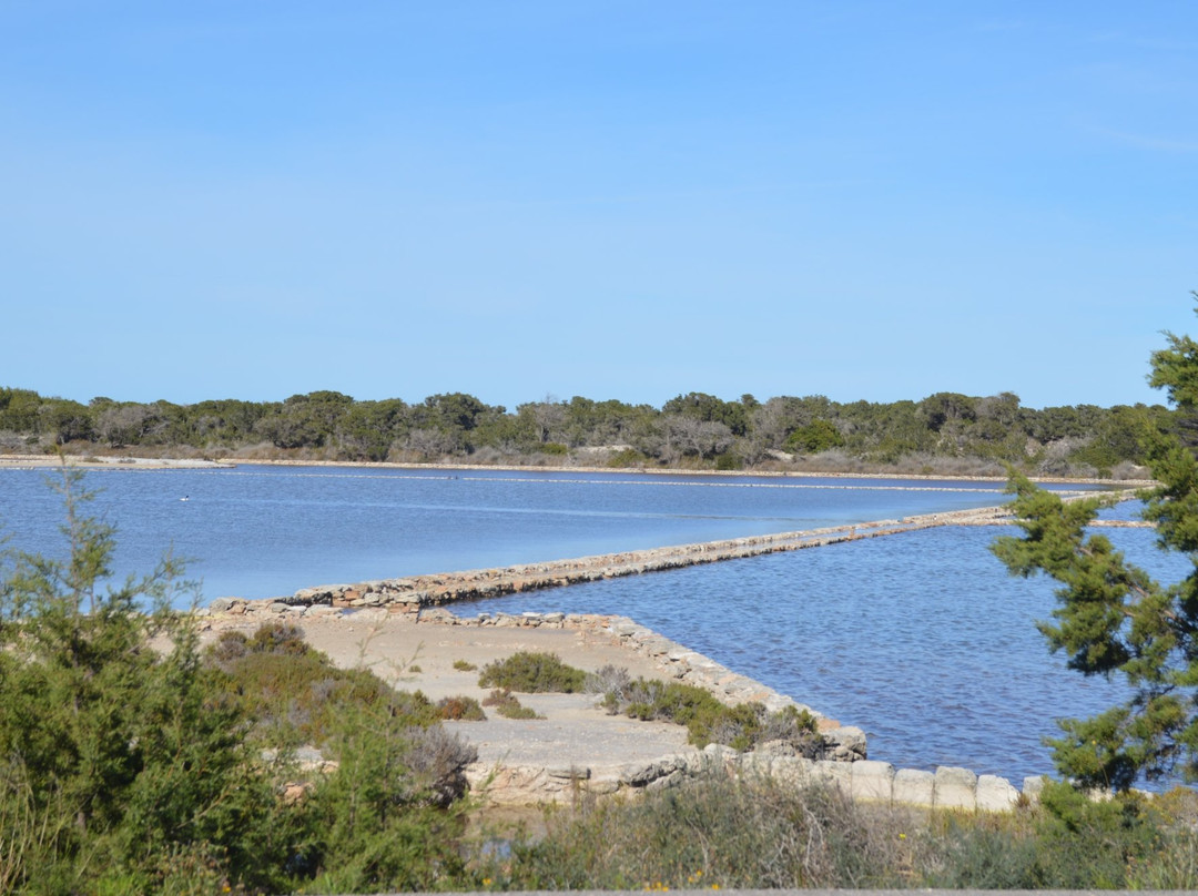 Parc Natural De Ses Salines-福门特拉岛必去景点