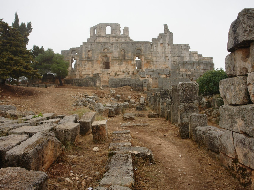 Saint Simon Citadel (Sam’an Citadel, Qalat Samaan)景点图片
