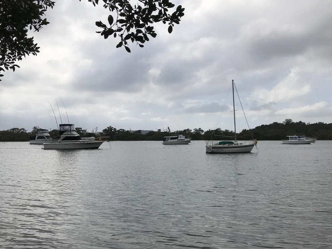 Koala Reserve Mangrove Boardwalk-柠檬树路必去景点