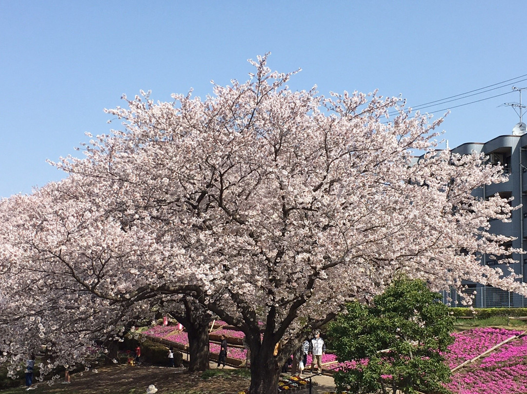 Kanigasawa Park景点图片