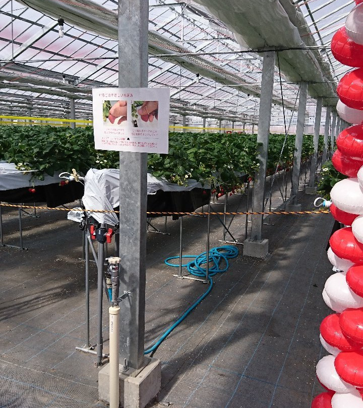 ICHIGO WORLD-山元町必去景点