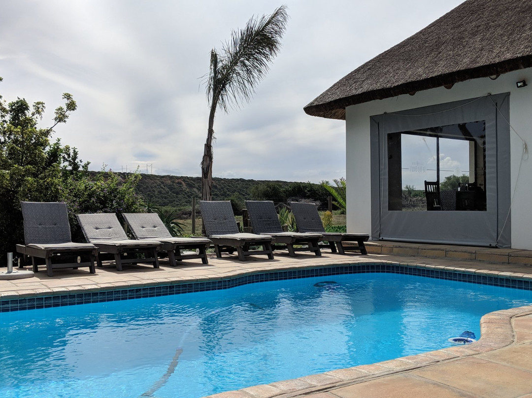 De Old Drift Guest Farm主图