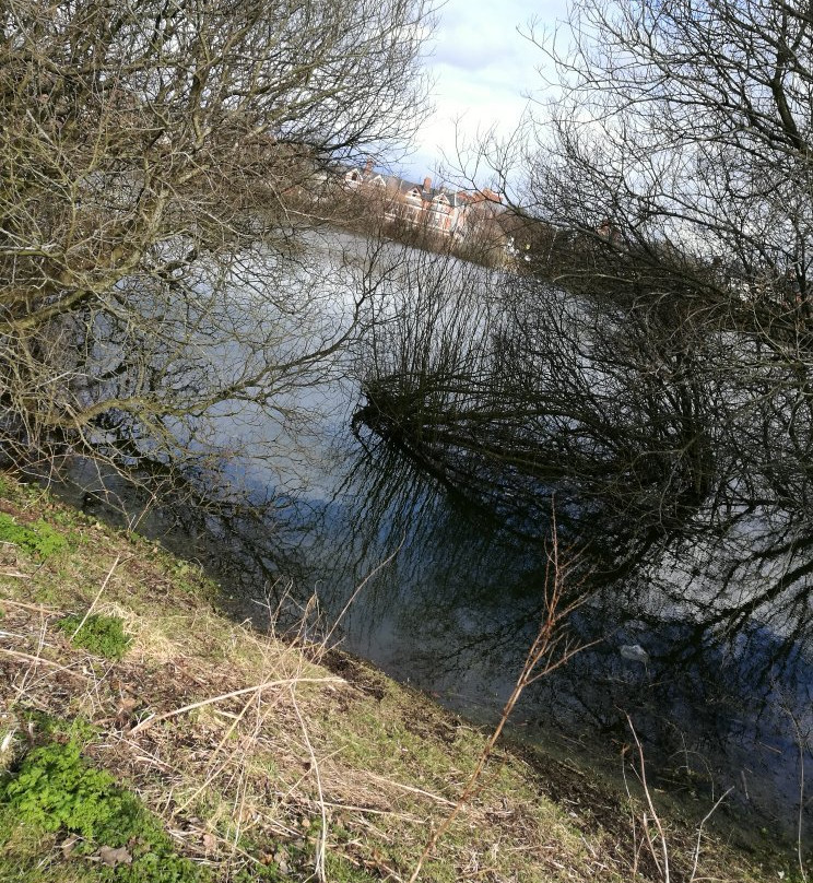 Waterworks-贝尔法斯特必去景点