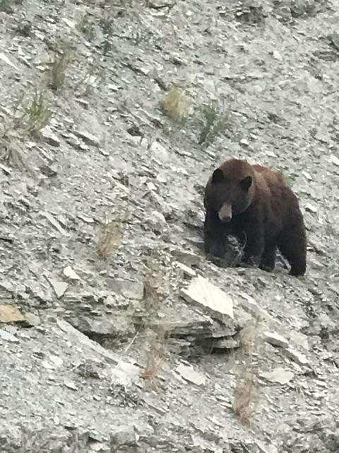 Yellowtail Reservoir-Hardin必去景点