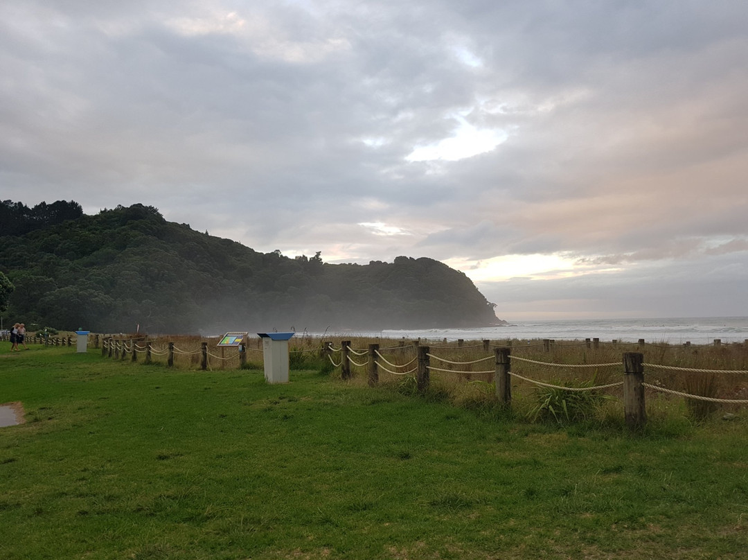 Waihi Beach景点图片