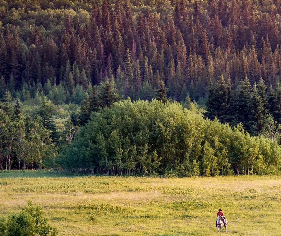 Sturgeon River Ranch