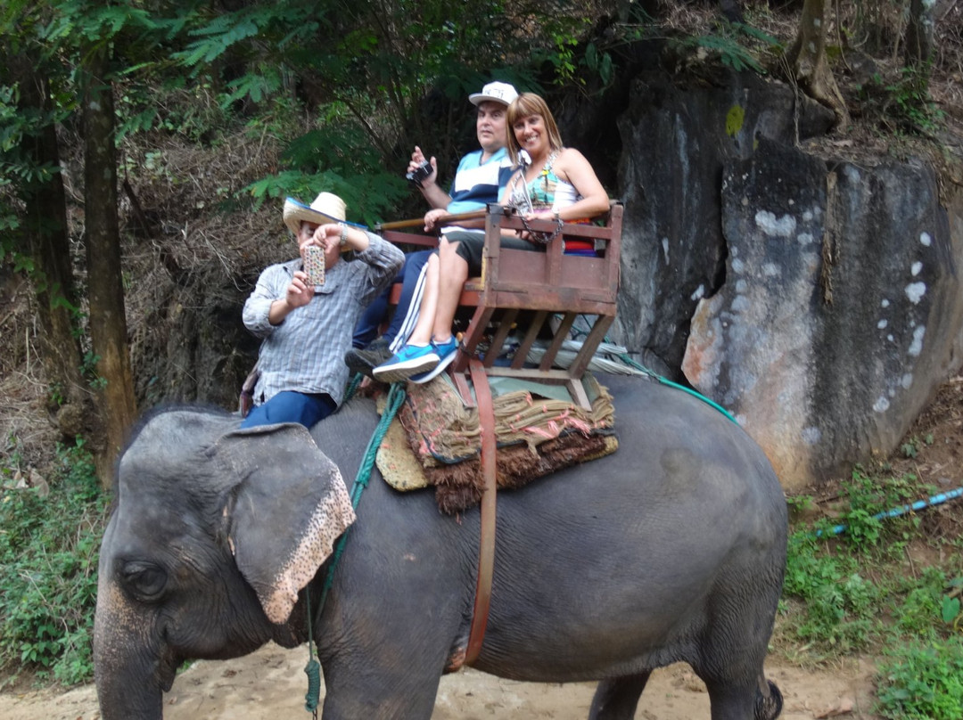 Pong Yang Elephant Camp-夜林必去景点
