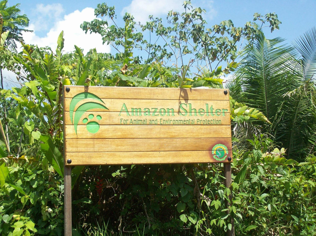 Amazon Shelter景点图片