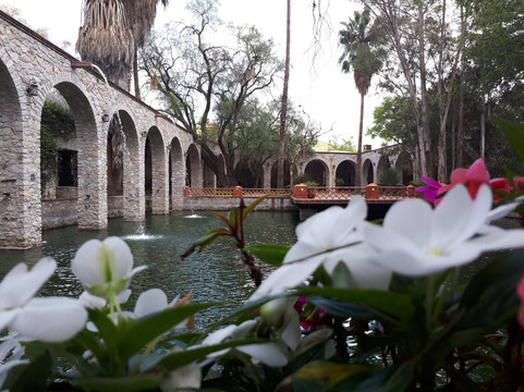 Atongo餐馆和美食-Restaurante 1651