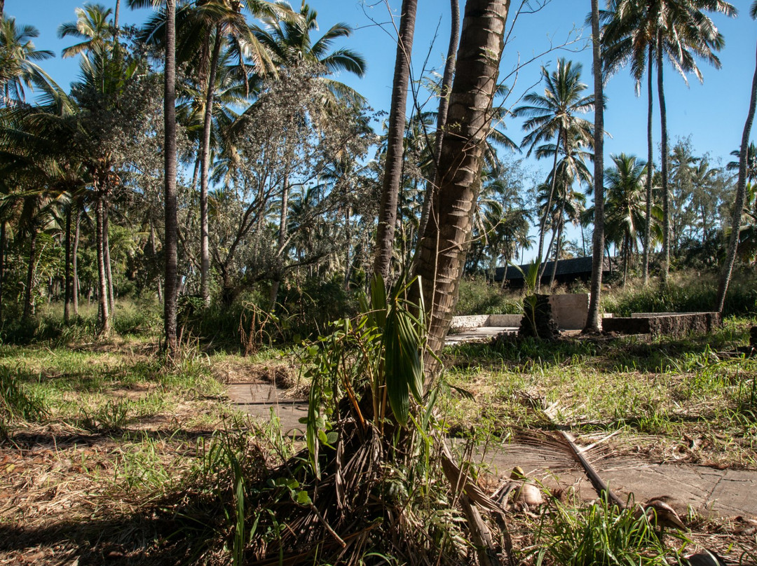 Coco Palms Tours-卡帕阿必去景点