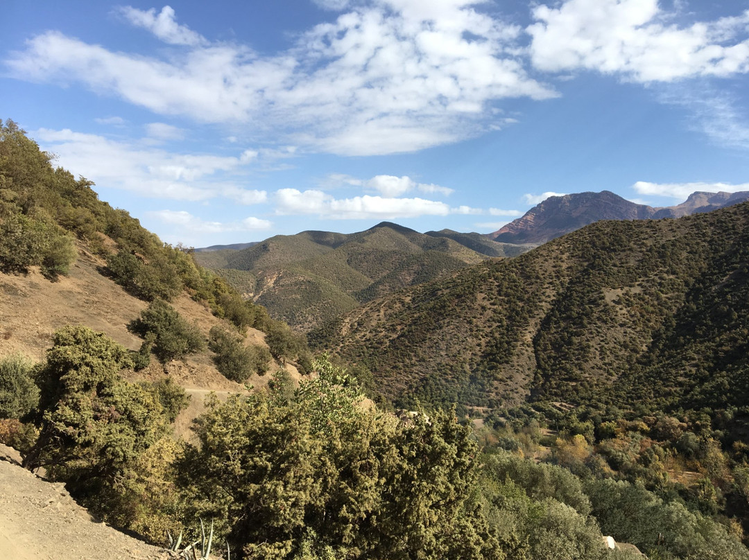 Salama Ayurveda主图