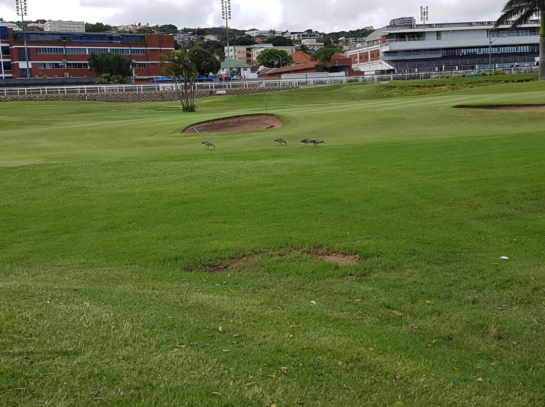 Royal Durban Golf Club景点图片