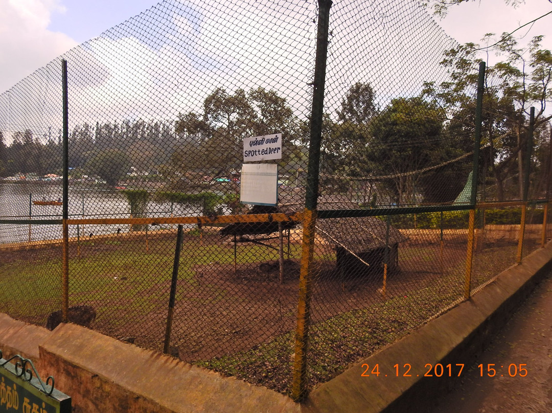 Deer Park-亚尔考德必去景点