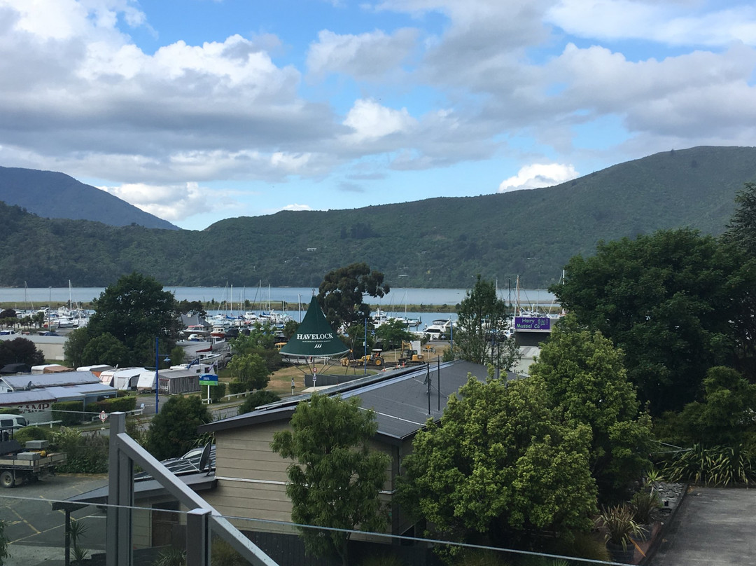 Havelock Motel and Motor Lodge主图