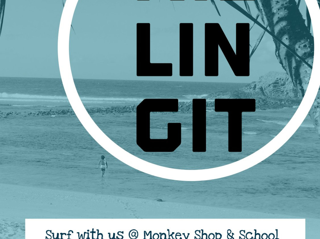 Monkey Surf Shop & School景点图片