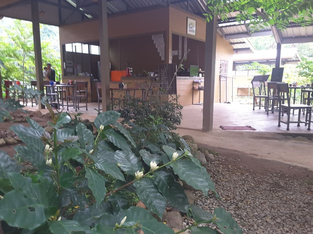 Mueang Ngai餐馆和美食-Chai Cafe