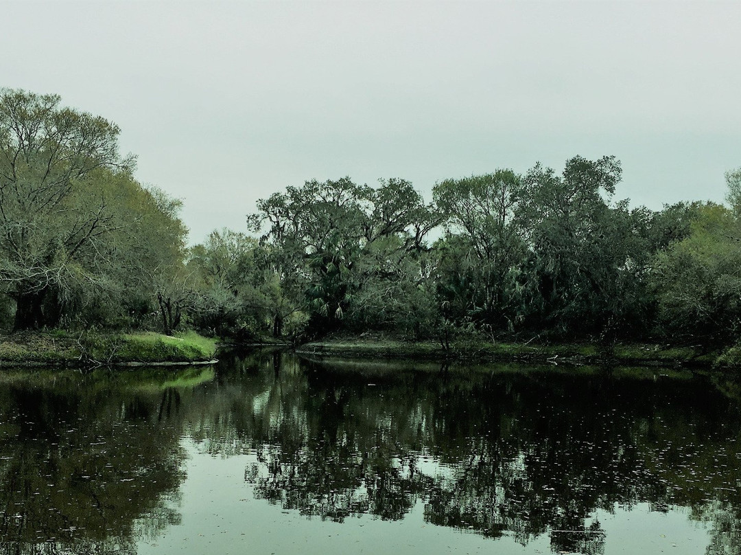 Venice Myakka River Park-Nokomis必去景点