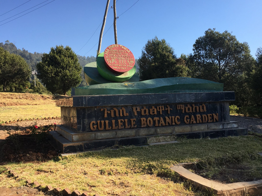 Gullele Botanical Garden-亚的斯亚贝巴必去景点