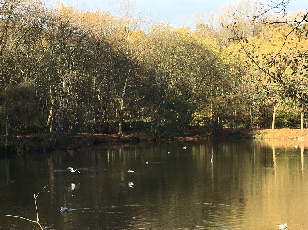 Forêt Domaniale de Meudon-默东必去景点
