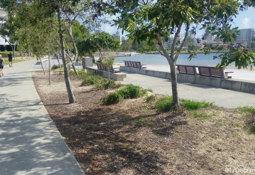 Chris Cunningham Park-堤维德岬必去景点