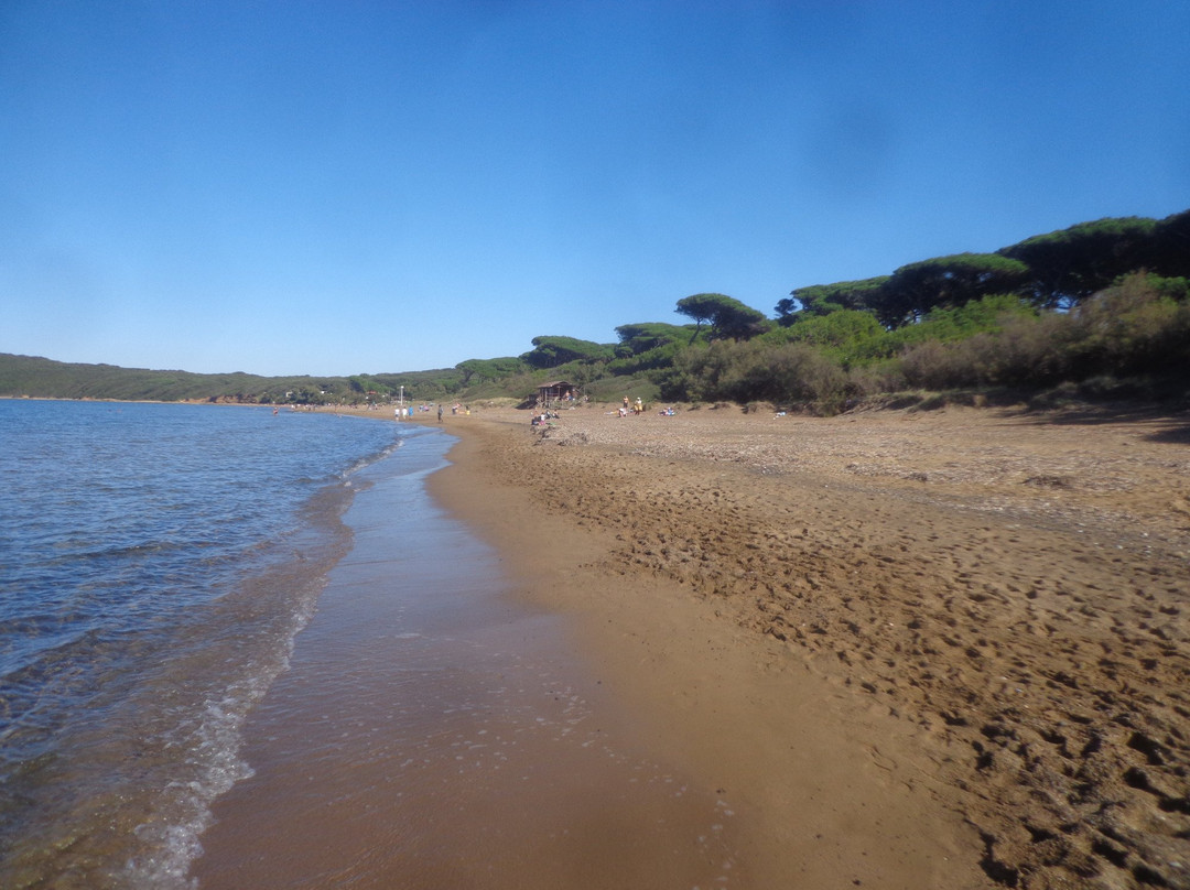 Spiaggia di Baratti景点图片