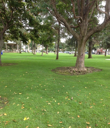 Spreckels Park-科罗纳多必去景点