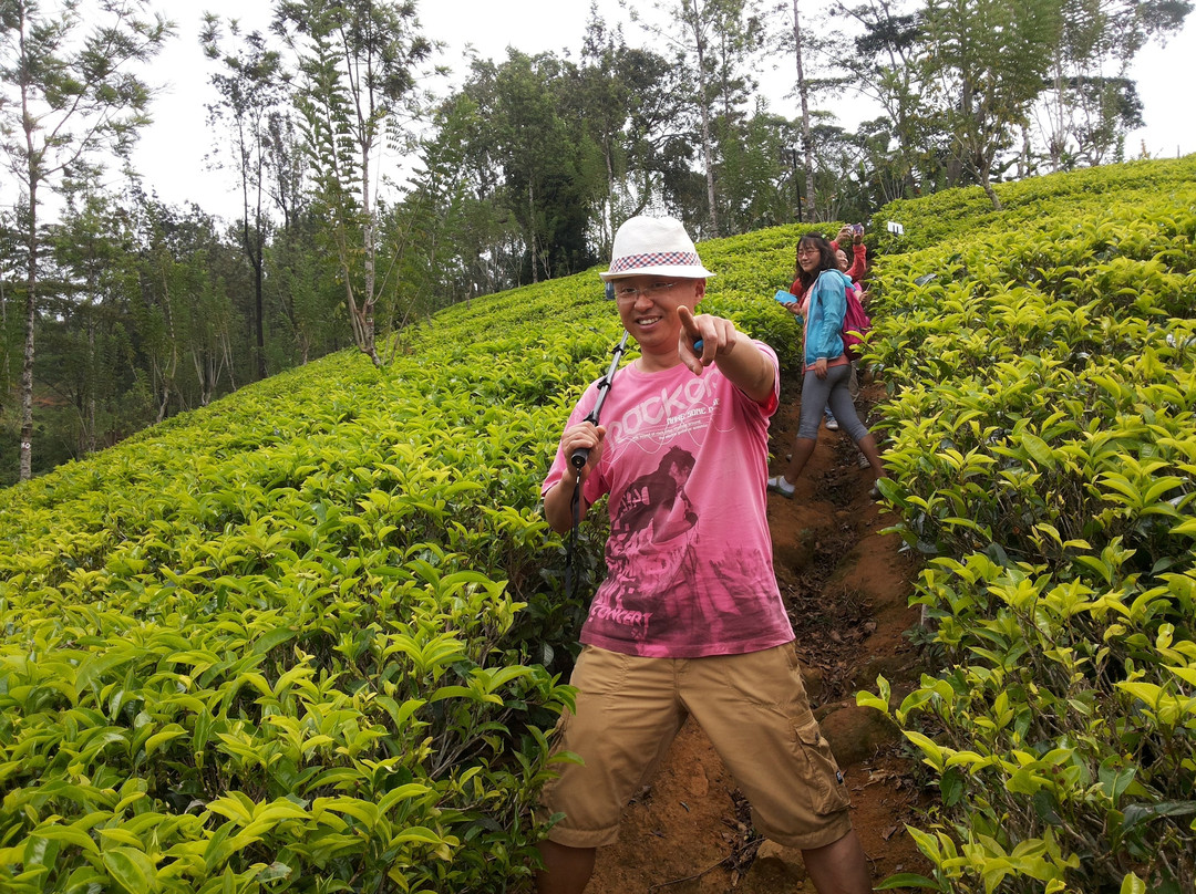 Smart Lanka Visitors Pvt Ltd景点图片