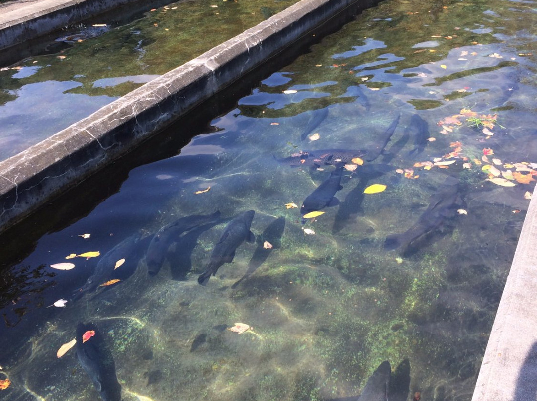 Powder Mills Park-Pittsford必去景点