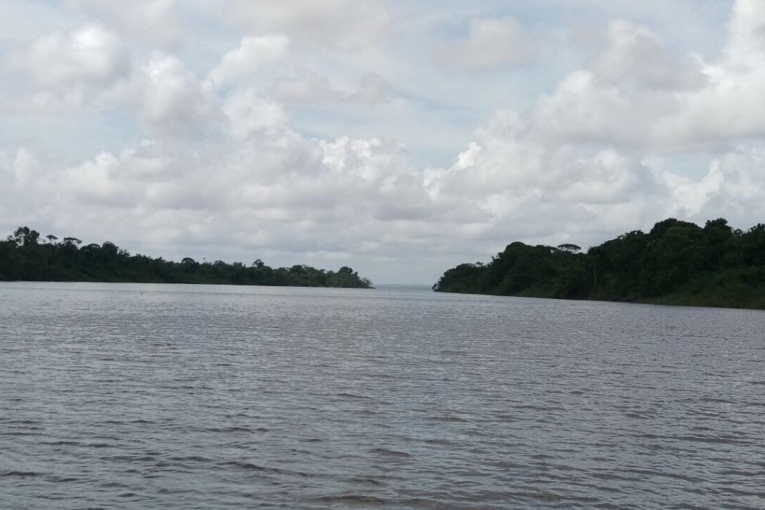 Essequibo River景点图片