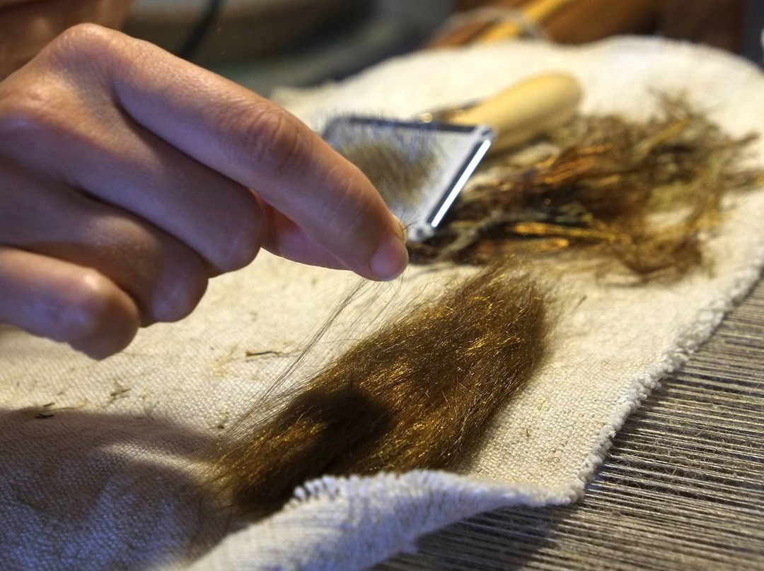 San Giovanni Suergiu旅游景点-Laboratorio Sa Domu de Su Linu