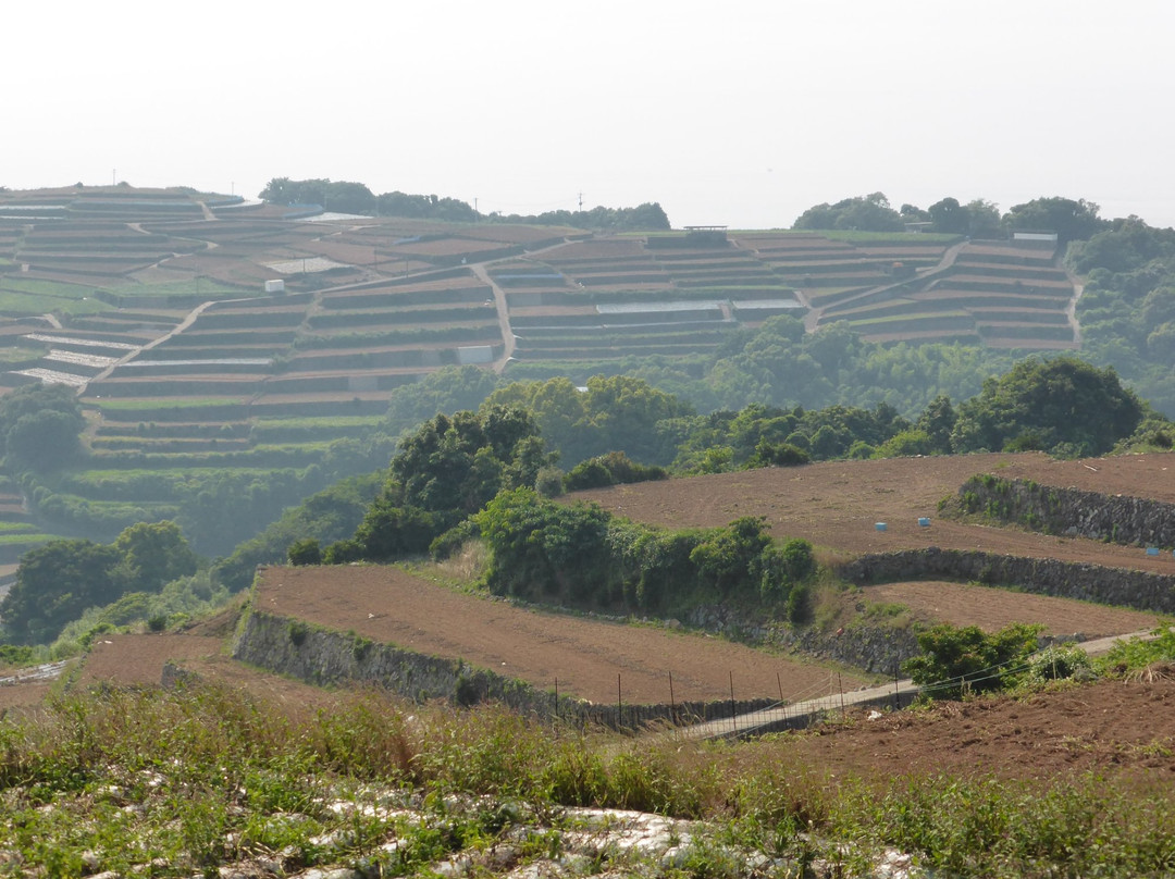 Minami Kushiyama Tanabatake Observation Deck-云仙市必去景点