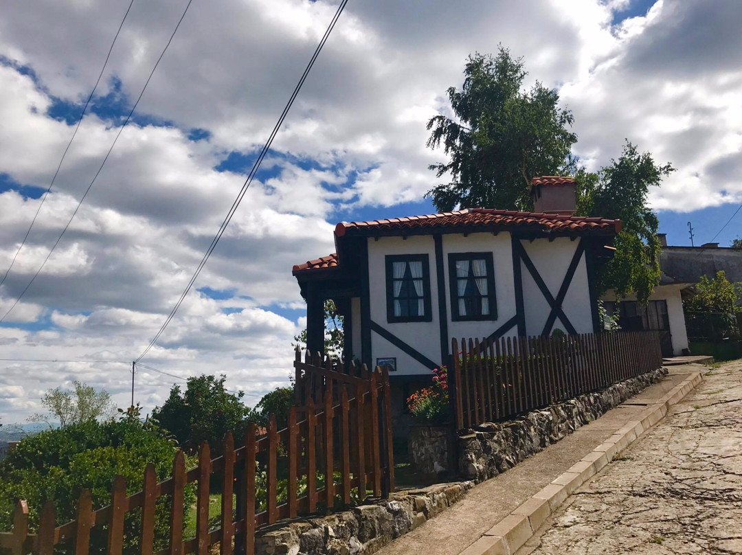 Baba Iliytsa House Museum景点图片
