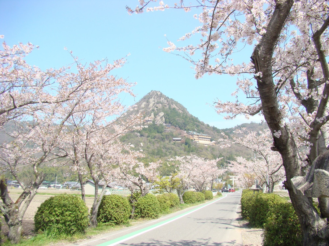 Tarobogu Shrine (Aga Shrine)-东近江市必去景点