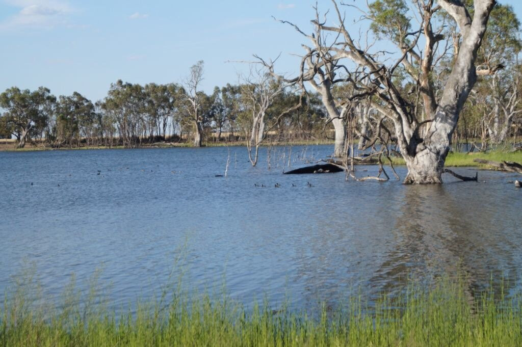 Wooroonook Lakes-Charlton必去景点
