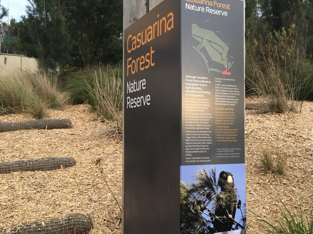 Casuarina Forest Reserve-Endeavour Hills必去景点
