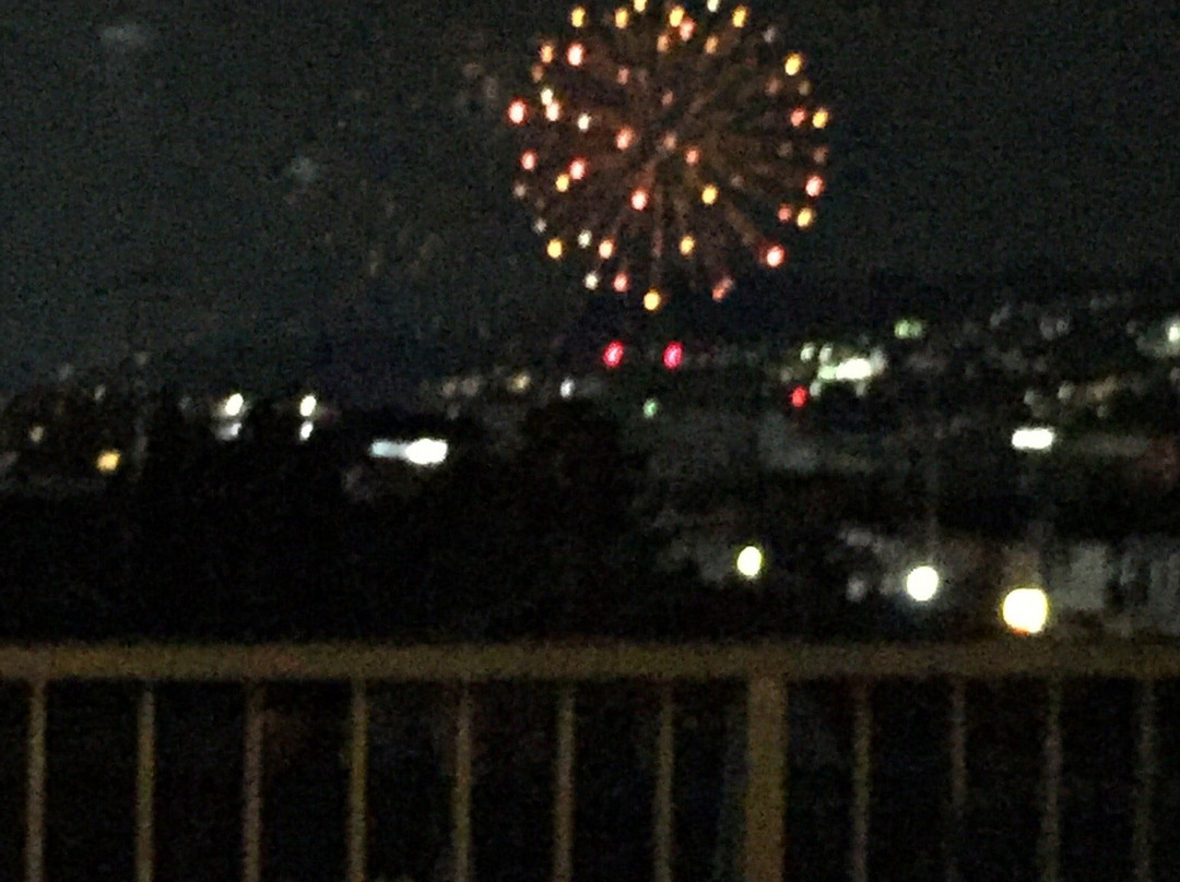 池田市旅游景点-Inagawa Fireworks