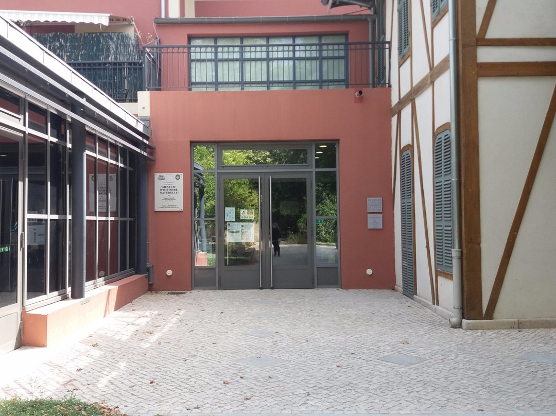 Museum Dpartemental du Var景点图片