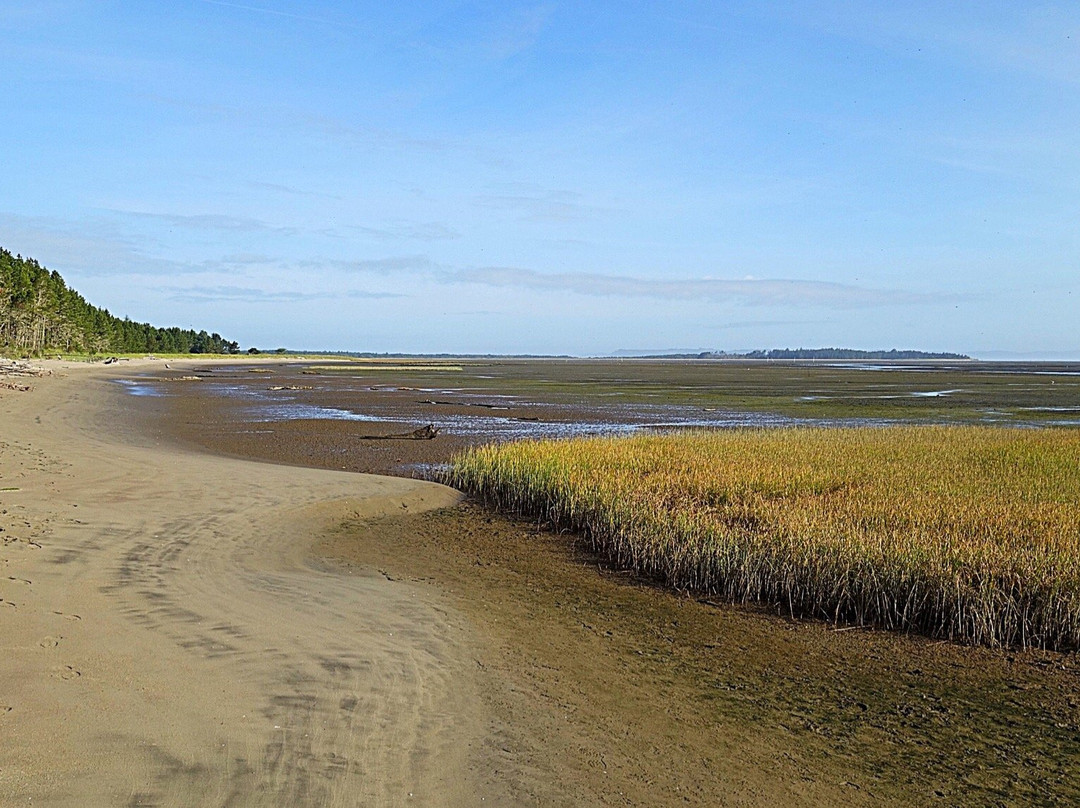 Leadbetter Point State Park-Oysterville必去景点