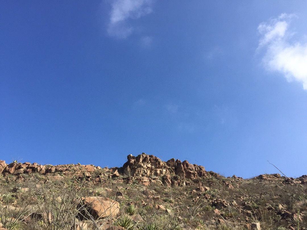 Zona Arqueologica Boca de Potrerillos景点图片