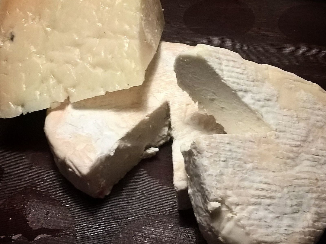 Formatgeria Casa Mateu