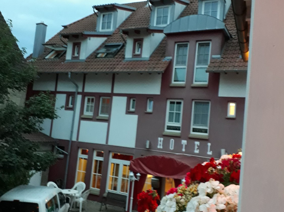 Cross-Country-Hotel Hirsch主图