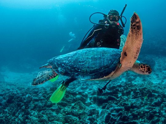 Galapagos Booking Travel-Puerto Baquerizo Moreno必去景点