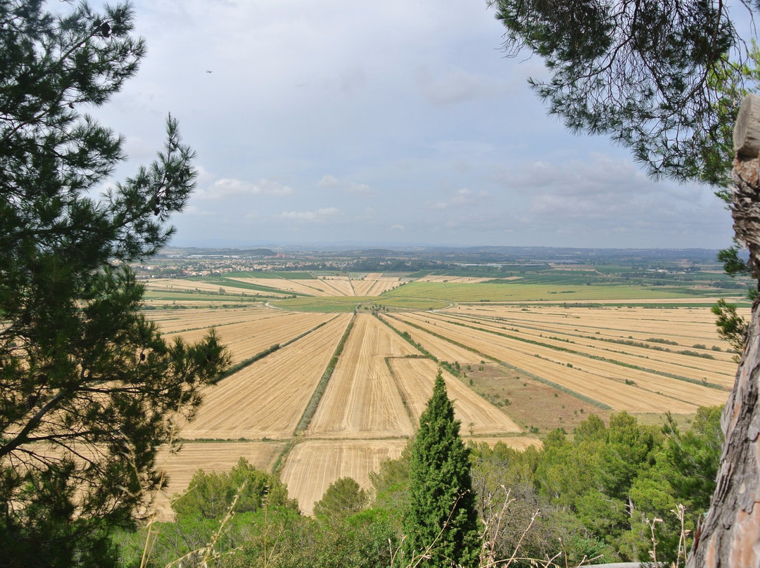 Oppidum d'Ensérune景点图片