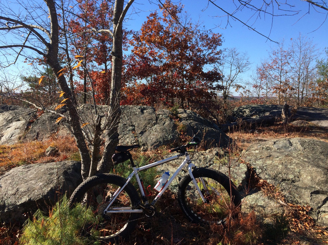 Lynn Woods-Lynn必去景点