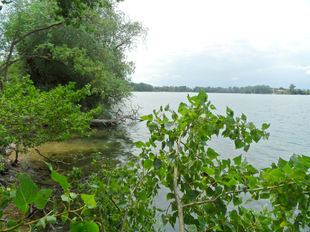 Silbersee-Bobenheim-Roxheim必去景点