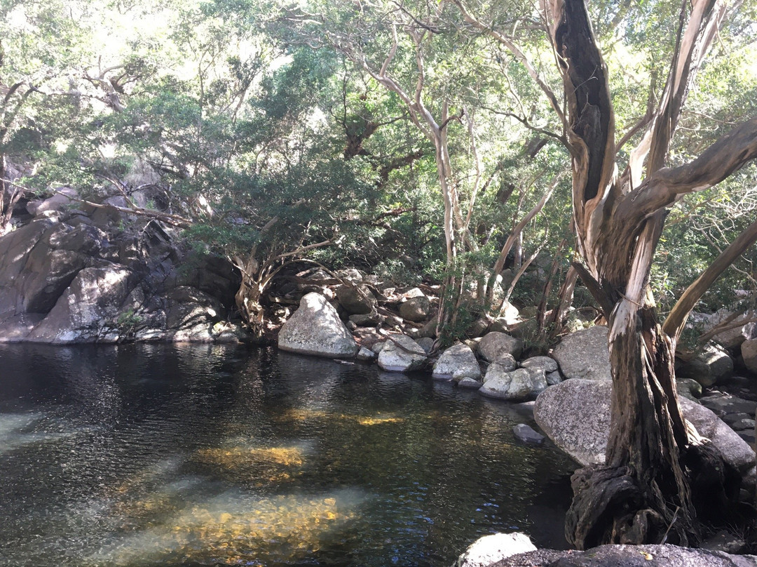 Trevethan Falls-库克敦必去景点